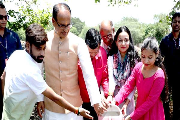Plantation Tree : मुख्यमंत्री ने बादाम, गुलमोहर और पीपल के पौधे लगाए Plantation Tree : मुख्यमंत्री ने बादाम, गुलमोहर और पीपल के पौधे लगाए
