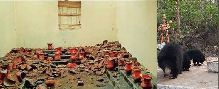ज्योति कलश कक्ष के खपरैल तोड़कर घुसे दो भालुओं ने जमकर मचाया उत्पात ज्योति कलश कक्ष के खपरैल तोड़कर घुसे दो भालुओं ने जमकर मचाया उत्पात