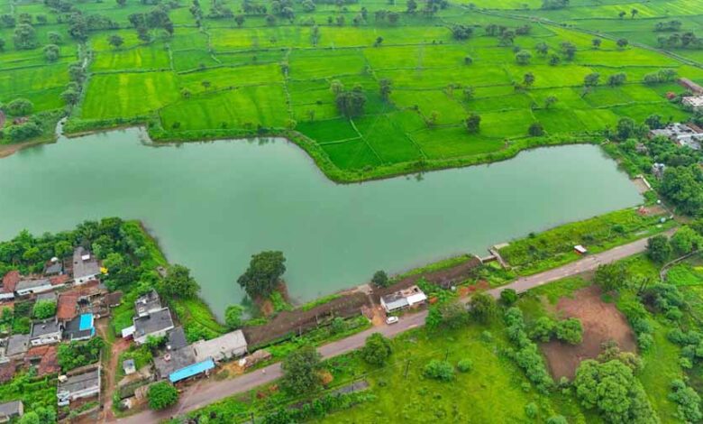 धमतरी के कन्हारपुरी में प्रदेश का सबसे बड़ा अमृत सरोवर धमतरी के कन्हारपुरी में प्रदेश का सबसे बड़ा अमृत सरोवर