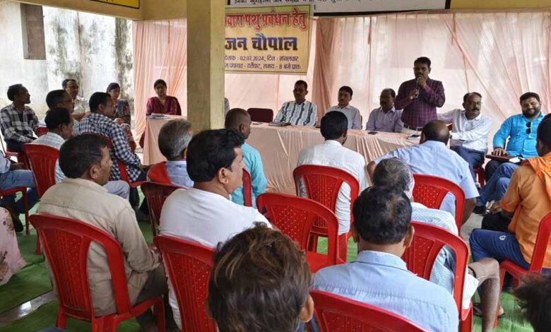 समवेत प्रयासों से जिले में आवारा पशुओं का हो रहा बेहतर प्रबंधन