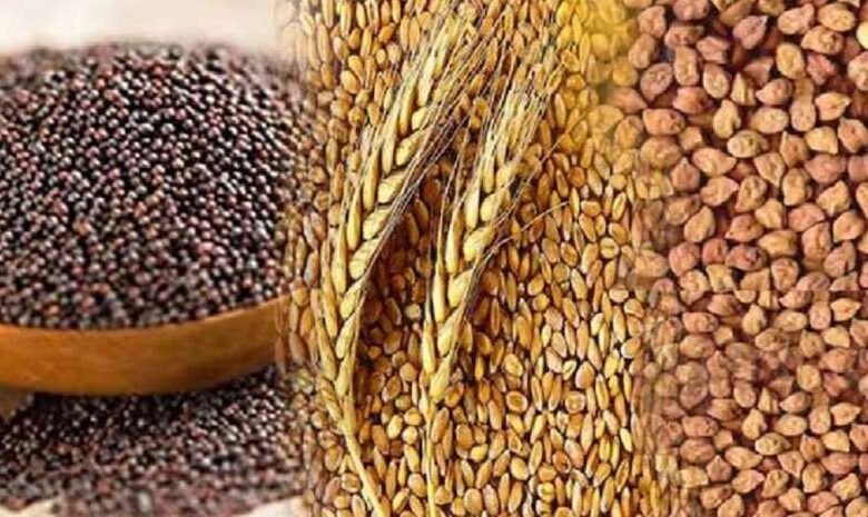  ग्रीष्मकालीन धान के बदले दलहन-तिलहन, मक्का, उद्यानिकी फसलों को बढावा