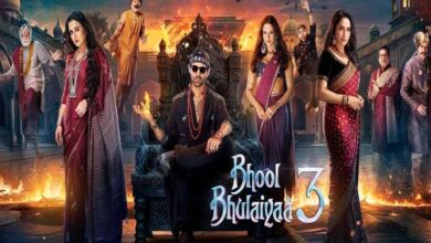 ‘भूल भुलैया-3’ ने रिलीज से पहले ही दिखाया अपना जादू, एडवांस बुकिंग में बाजी मारी, कमाए इतने लाख रुपये
