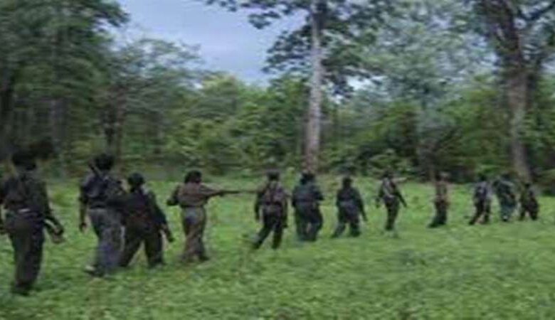 छत्तीसगढ़ में नक्सलियों के खिलाफ बड़ी कार्रवाई, 31 नक्सलियों के शव और भारी हथियार बरामद छत्तीसगढ़ में नक्सलियों के खिलाफ बड़ी कार्रवाई, 31 नक्सलियों के शव और भारी हथियार बरामद