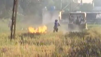 Delhi-NCR में फसल कटाई के मौसम में पराली जलाने पर रोक, CAQM ने पंजाब और हरियाणा में की 26 केंद्रीय टीमें तैनात