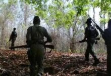 नक्सल अभियान: मधुमक्खियों के हमले में सीआरपीएफ के कुत्ते की मौत पर सम्मान
