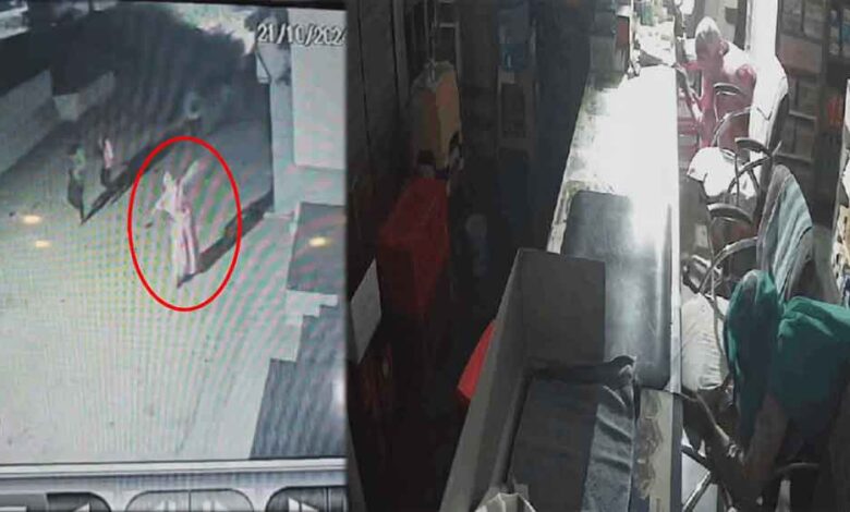 छत्तीसगढ़-बेमेतरा में दुकान से लाखों रुपये की चोरी, एसपी ने नाइट गश्त में लगे ASI को किया सस्पेंड
