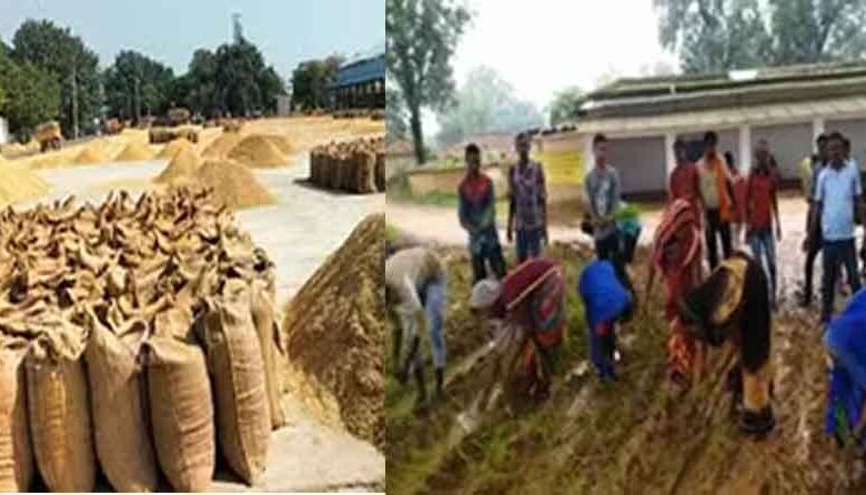 छत्तीसगढ़-सूरजपुर के गांव की सड़क पर उगती है धान, कई वर्षों से मंडी में हितग्राही बेच रहा अनाज