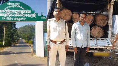 छत्तीसगढ़-बलरामपुर के जंगल से आधी रात को पकड़ी पिकअप, सात नग साल की लकड़ी बरामद