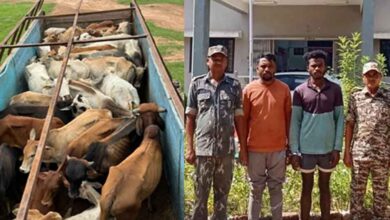 छत्तीसगढ़-कोंडागांव में दो गोतस्करों को पुलिस ने किया गिरफ्तार, 37 मवेशी बरामद