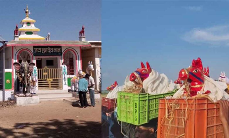 छत्तीसगढ़-बालोद में बाबा हरदेव का अनोखा मंदिर, मुराद पूरी होने पर चढ़ाते हैं मिट्टी और सीमेंट के घोड़े