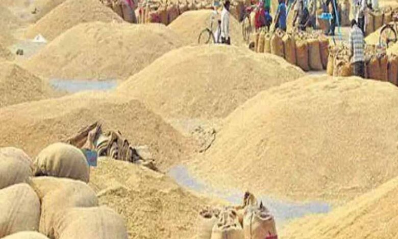 साय सरकार इस साल धान के अलावा मक्का की भी न्यूनतम समर्थन मूल्य पर करेगी खरीदी साय सरकार इस साल धान के अलावा मक्का की भी न्यूनतम समर्थन मूल्य पर करेगी खरीदी