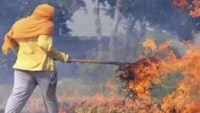 पराली जलाने पर सख्त हुई पंजाब सरकार : 920 किसानों पर FIR, सख्ती के बाद मामलों में आई कमी