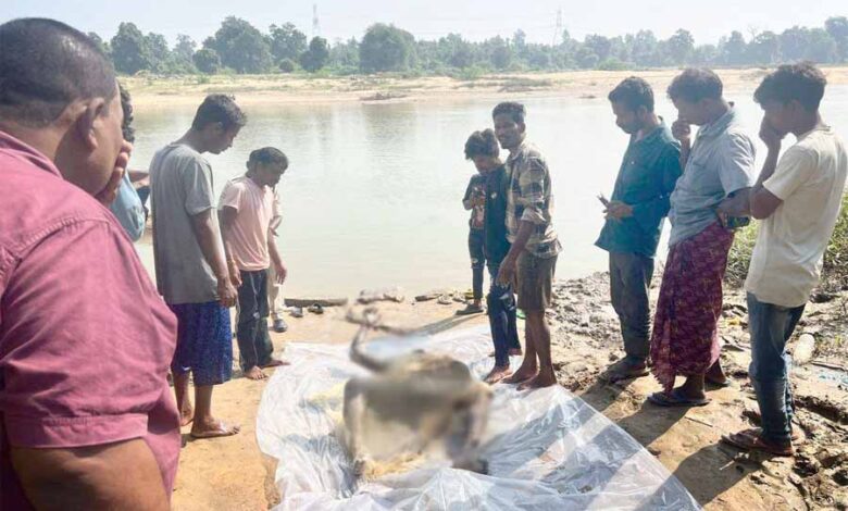 चेकडैम में डूबे मछुआरे की लाश तीन दिन बाद हुई बरामद चेकडैम में डूबे मछुआरे की लाश तीन दिन बाद हुई बरामद
