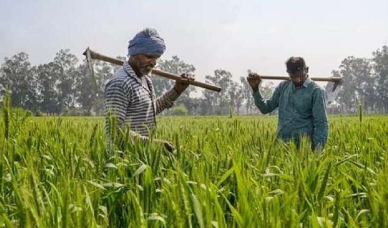 PM Kisan Yojana: कब आएगी 19वीं किस्त? किसानों को मिलेगी राहत PM Kisan Yojana: कब आएगी 19वीं किस्त? किसानों को मिलेगी राहत