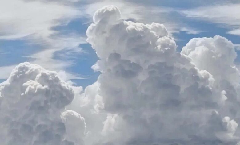 छत्तीसगढ़ में बारिश पर ब्रेक, सुबह से ही निकली तेज धूप छत्तीसगढ़ में बारिश पर ब्रेक, सुबह से ही निकली तेज धूप