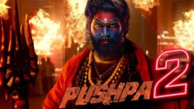 Pushpa 2 की रिलीज़ डेट में बदलाव, 6 दिसंबर से पहले हो सकती रिलीज?