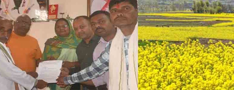 जेनेटिक माडिफाइड सरसों के उत्पादन पर रोक की मांग, भारतीय किसान संघ ने सांसद को सौंपा ज्ञापन जेनेटिक माडिफाइड सरसों के उत्पादन पर रोक की मांग, भारतीय किसान संघ ने सांसद को सौंपा ज्ञापन