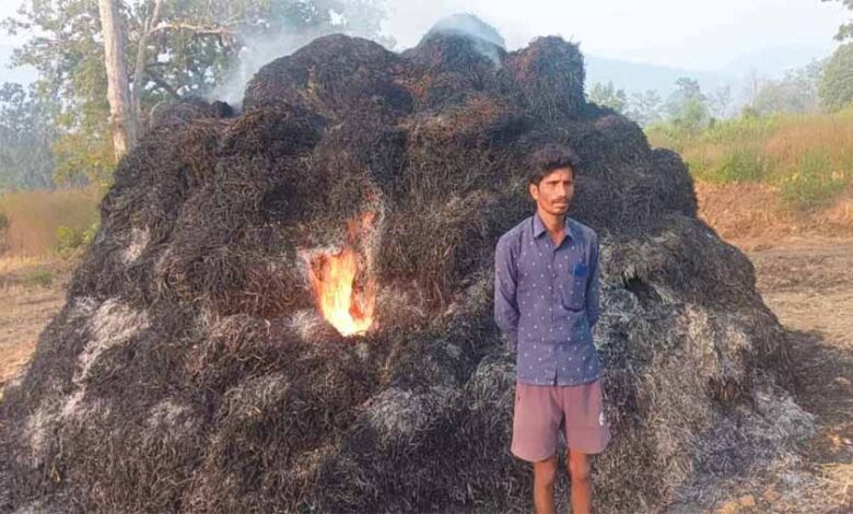 2 लाख रुपये कर्ज लेकर खेती की, रातों रात महीनों की मेहनत जलकर हुई खाक 2 लाख रुपये कर्ज लेकर खेती की, रातों रात महीनों की मेहनत जलकर हुई खाक
