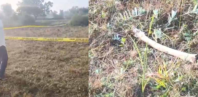 छत्तीसगढ़ में मिले तीन नर कंकाल इलाके में मचा हड़कंप, पुलिस कर रही जांच छत्तीसगढ़ में मिले तीन नर कंकाल इलाके में मचा हड़कंप, पुलिस कर रही जांच