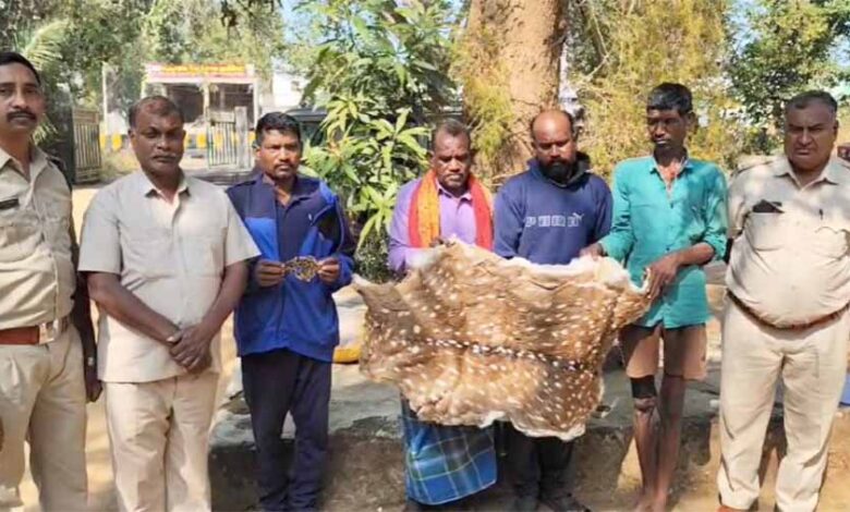 महासमुंद में चीतल और तेंदुए की खाल की तस्करी करने वाले 5 आरोपी रंगे हाथ धाराएं