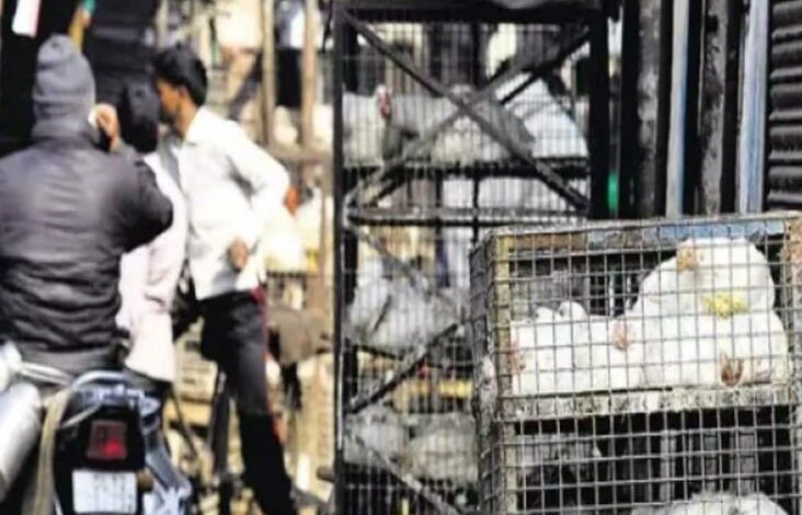  दिल्ली के मछली और मांस बाजारों में छापेमारी हुई तेज