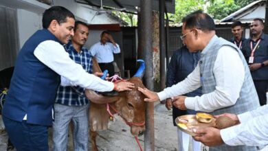 मुख्यमंत्री विष्णु देव साय ने गोवर्धन पूजा के अवसर पर की गौ वंश की पूजा-अर्चना