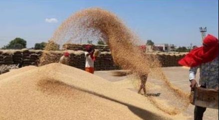 सरकारी गोदामों में सड़ गया अरबों का अनाज सरकारी गोदामों में सड़ गया अरबों का अनाज