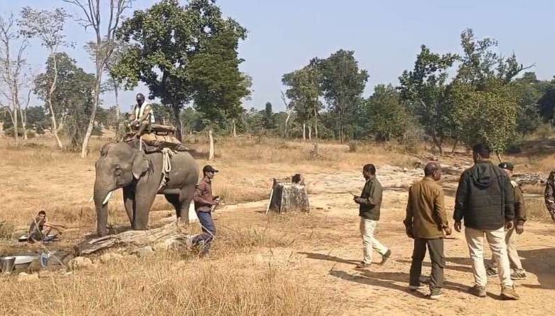 बाघ के रेस्क्यू में जुटी टाइगर रिजर्व की टीम बाघ के रेस्क्यू में जुटी टाइगर रिजर्व की टीम