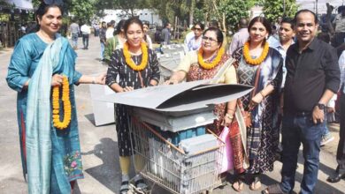 दक्षिण विधानसभा में कल मतदान, तैयारियां पूरी