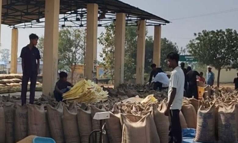 समर्थन मूल्य पर धान खरीदी केन्द्रों में किसानों के लिए समुचित व्यवस्थाएं समर्थन मूल्य पर धान खरीदी केन्द्रों में किसानों के लिए समुचित व्यवस्थाएं