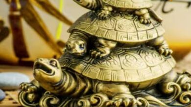 बस इस मूर्ति को घर में रखें… और देखें कैसे हर मुश्किल से निकल कर आपको कामयाबी है मिलती!