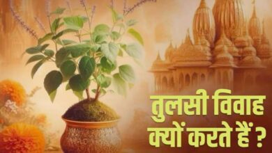 इस साल तुलसी विवाह कब है?