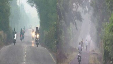 शीतलहर का येलो अलर्ट, 10 साल बाद नवंबर में 4.5 डिग्री तक गिरा पारा, जानें प्रदेश में मौसम का हाल