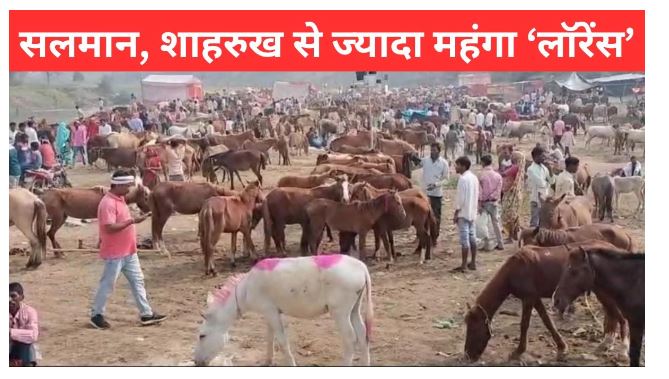 गधों के मेला भी ‘लॉरेंस’ का भौकाल, ‘सलमान’ का भाव है फुस्स, मुगलकाल से जुड़ा है इतिहास गधों के मेला भी ‘लॉरेंस’ का भौकाल, ‘सलमान’ का भाव है फुस्स, मुगलकाल से जुड़ा है इतिहास