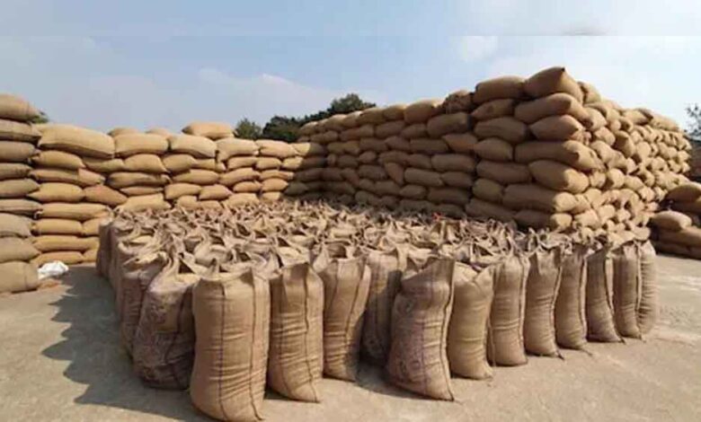 छत्तीसगढ़ में अब तक 8.95 लाख मीट्रिक टन धान खरीदी, किसानों को 1575.16 करोड़ रुपये का भुगतान