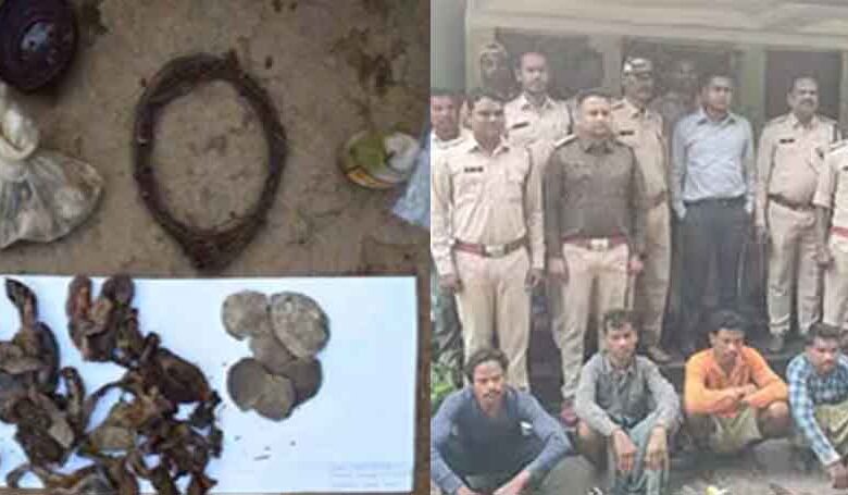 छत्तीसगढ़-बलौदाबाजार में जंगली जानवरों के पांच शिकारी गिरफ्तार, पुलिस गश्त के दौरान की कार्रवाई छत्तीसगढ़-बलौदाबाजार में जंगली जानवरों के पांच शिकारी गिरफ्तार, पुलिस गश्त के दौरान की कार्रवाई