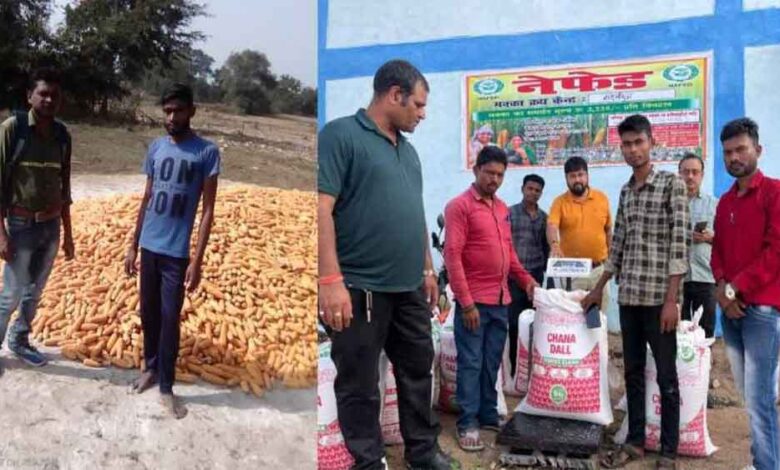 छत्तीसगढ़ में मक्का खरीदी में नेफेड की एंट्री, किसानों को एमएसपी से ज्यादा कीमत दे रहे कारोबारी छत्तीसगढ़ में मक्का खरीदी में नेफेड की एंट्री, किसानों को एमएसपी से ज्यादा कीमत दे रहे कारोबारी