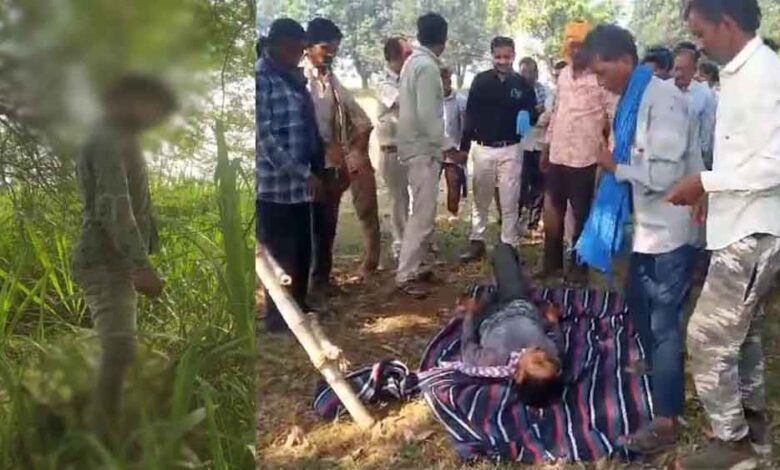 पेड़ पर लटकी मिली युवक की लाश