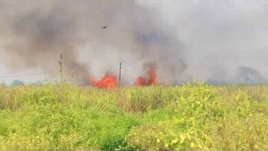 गन्ने की फसल में लगी भीषण आग, किसानों को लाखों का नुकसान