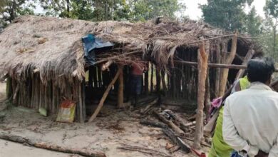 अंबिकापुर में  हाथियों के दल ने खूब उत्पात मचाया, दो बच्चों की मौत