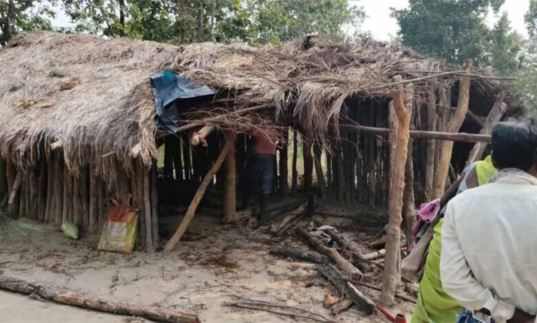 अंबिकापुर में हाथियों के दल ने खूब उत्पात मचाया, दो बच्चों की मौत अंबिकापुर में हाथियों के दल ने खूब उत्पात मचाया, दो बच्चों की मौत