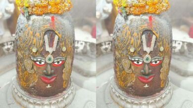 भस्म आरती के दौरान मोर पंखों से सजे बाबा महाकाल, भक्तों ने लिया दिव्य आशीर्वाद