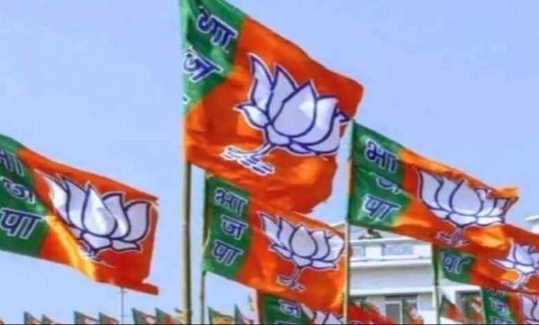 आज जारी होगा भाजपा का घोषणा पत्र आज जारी होगा भाजपा का घोषणा पत्र