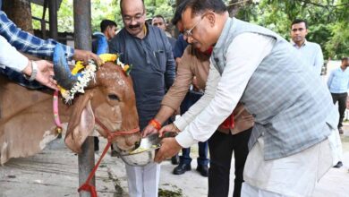 मुख्यमंत्री विष्णु देव साय ने गोवर्धन पूजा के अवसर पर की गौ वंश की पूजा-अर्चना