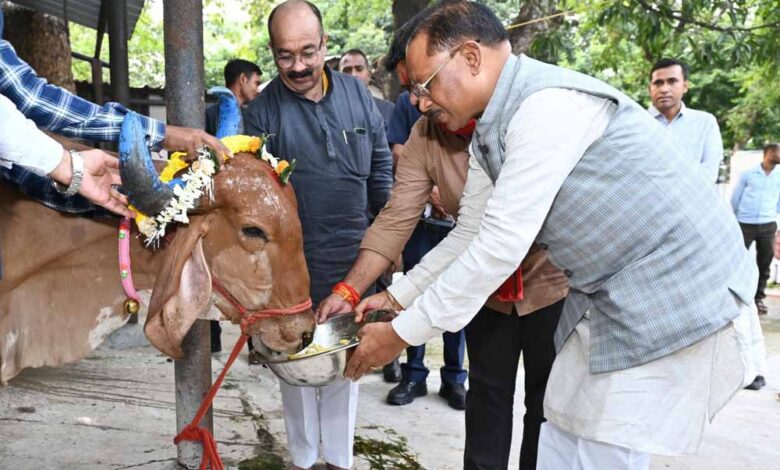 मुख्यमंत्री विष्णु देव साय ने गोवर्धन पूजा के अवसर पर की गौ वंश की पूजा-अर्चना मुख्यमंत्री विष्णु देव साय ने गोवर्धन पूजा के अवसर पर की गौ वंश की पूजा-अर्चना