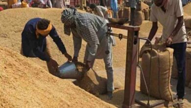 अब तक 135 करोड़ के 43 हजार टन धान की खरीदी