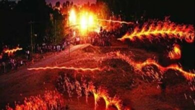 हरिहर मिलन के दौरान आतिशबाजी से बड़ा हादसा, आठ लोग घायल
