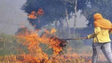 पराली जलाने के मामले में कार्रवाई तेज, 4711 FIR और 1319 अधिकारियों को नोटिस