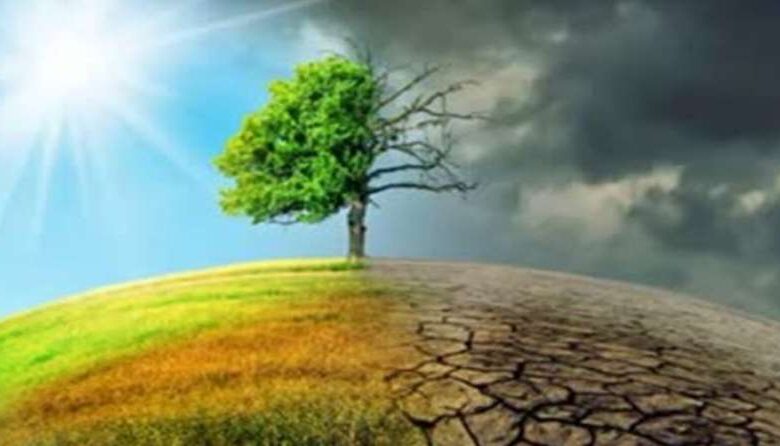 जलवायु परिवर्तन के खिलाफ भारत का मजबूत प्रदर्शन, अमीर देशों से समर्थन की अपील जलवायु परिवर्तन के खिलाफ भारत का मजबूत प्रदर्शन, अमीर देशों से समर्थन की अपील