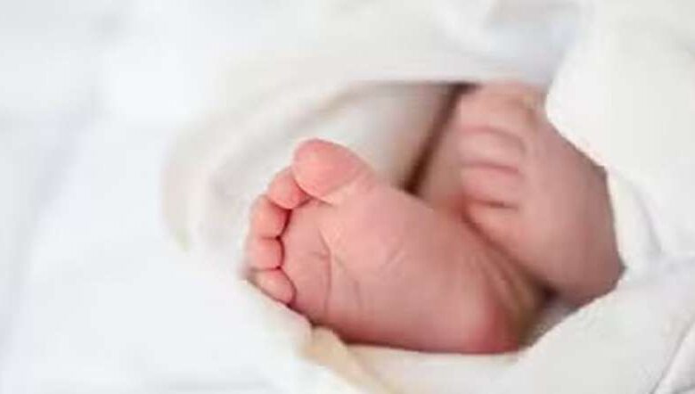 मैदान में लावारिस पड़े नवजात के शव को नोंच रहा था कुत्ता, बच्चों ने शोर मचाकर छुड़ाया… मैदान में लावारिस पड़े नवजात के शव को नोंच रहा था कुत्ता, बच्चों ने शोर मचाकर छुड़ाया…